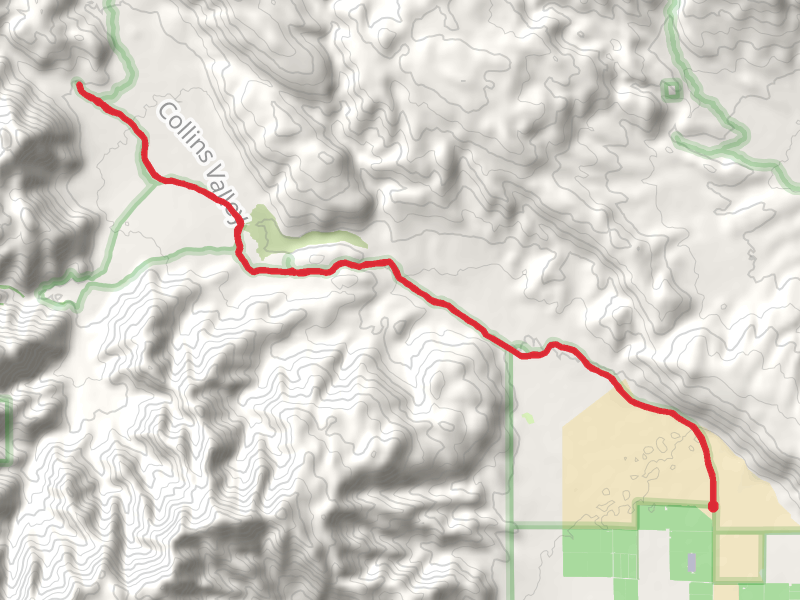 Coyote Canyon and Collins Valley Road