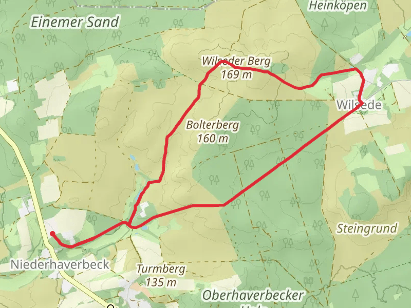 Wilseder Berg via Freudenthalweg and Bispingen
