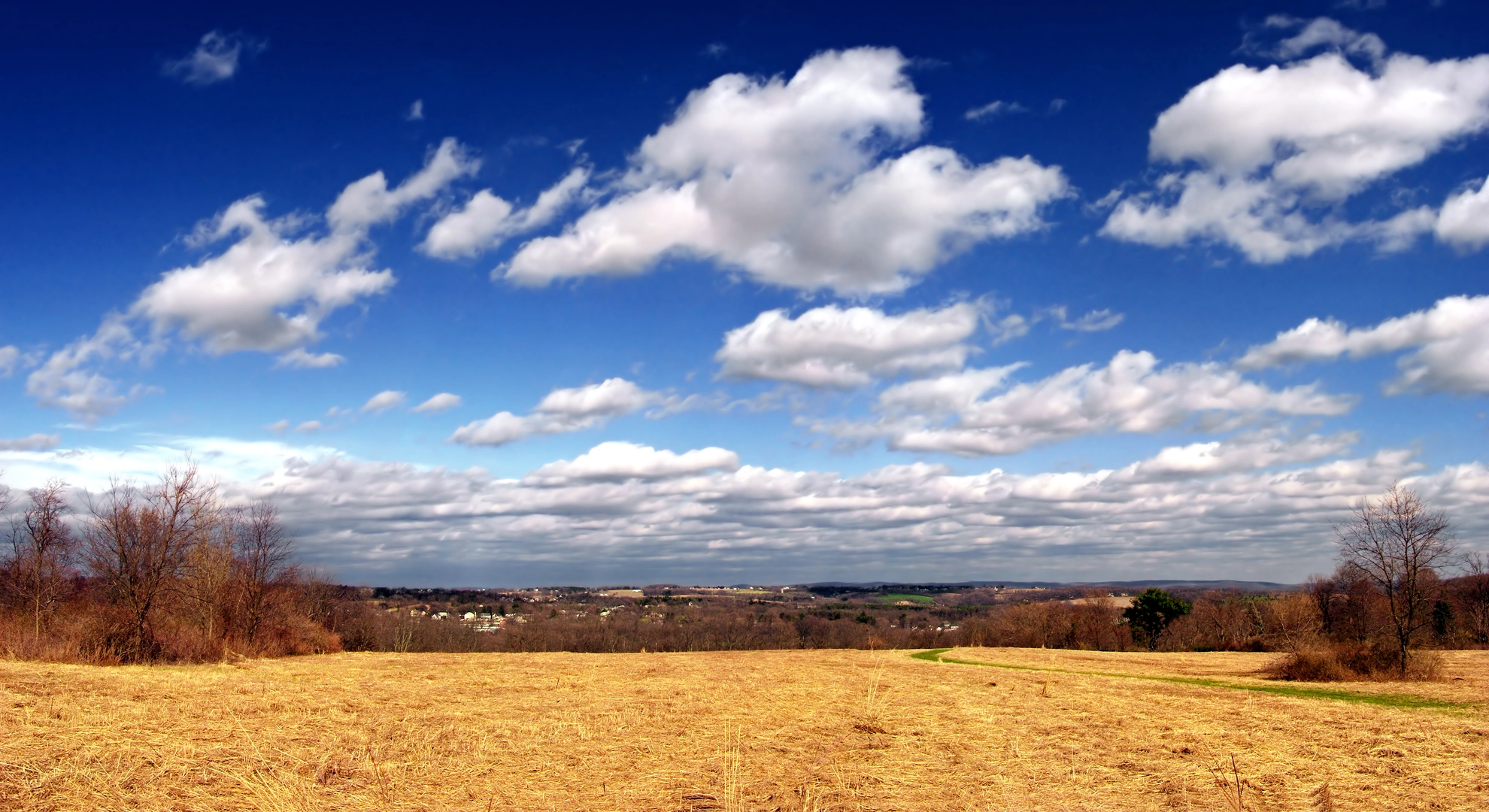 An image depicting the trail Jacobsburg State Park Short Loop Trail and its surrounding area.