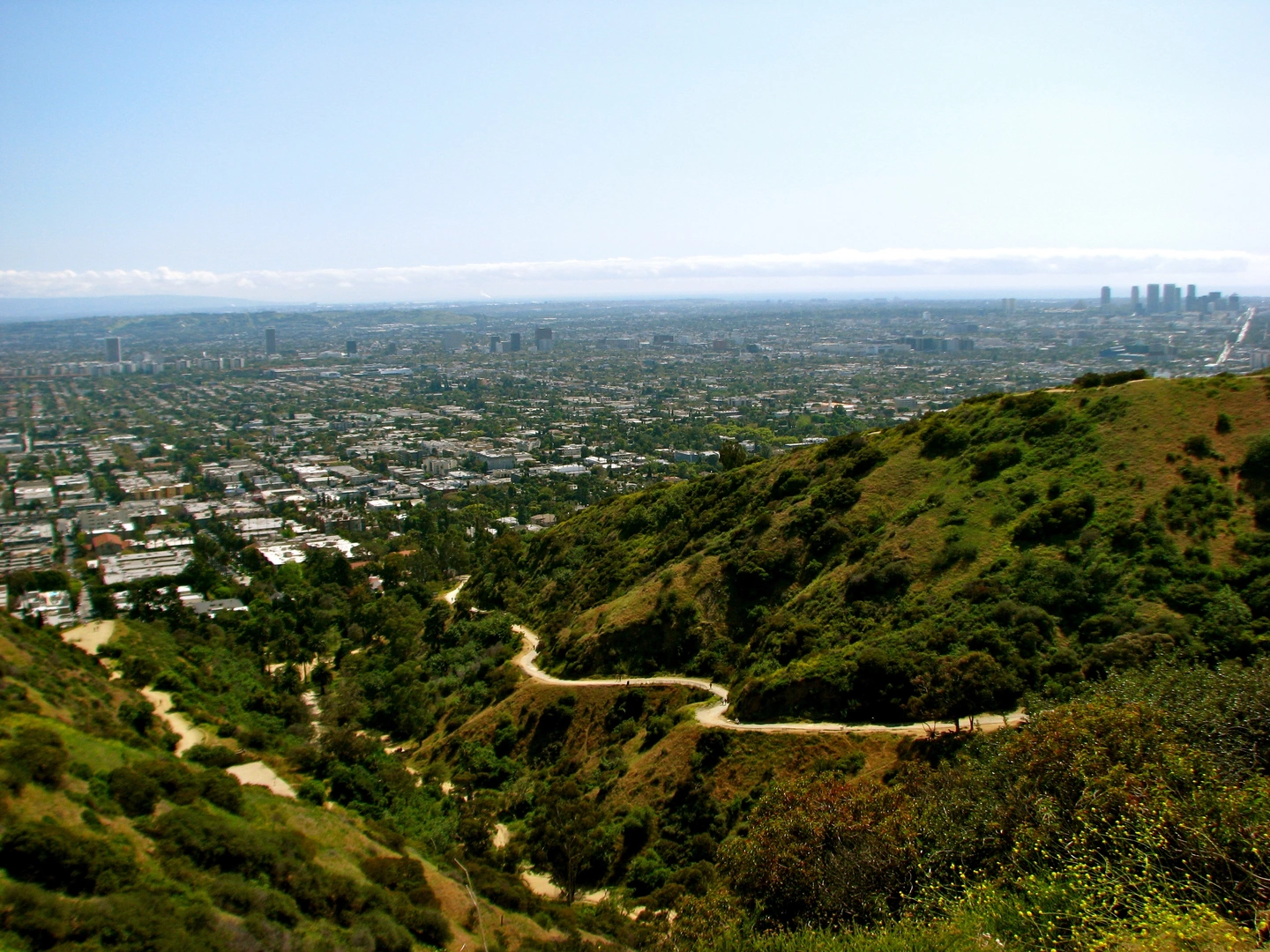 An image depicting the trail Rustic Canyon and Murphy Ranch Road via Sullivan Ridge Fire Road and its surrounding area.