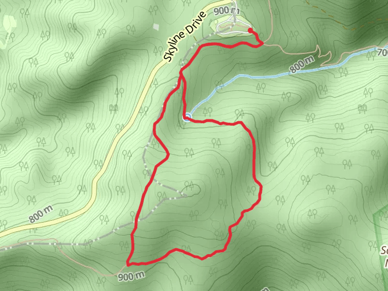 Saddleback Mountain Loop Trail