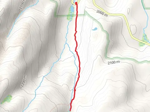 Paradise Meadows Trail from Lassen Peak Highway