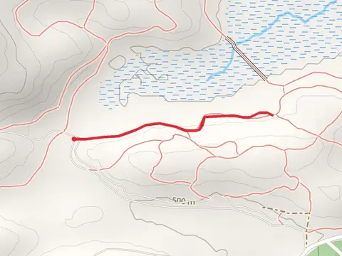 Skidder Trail - Orange