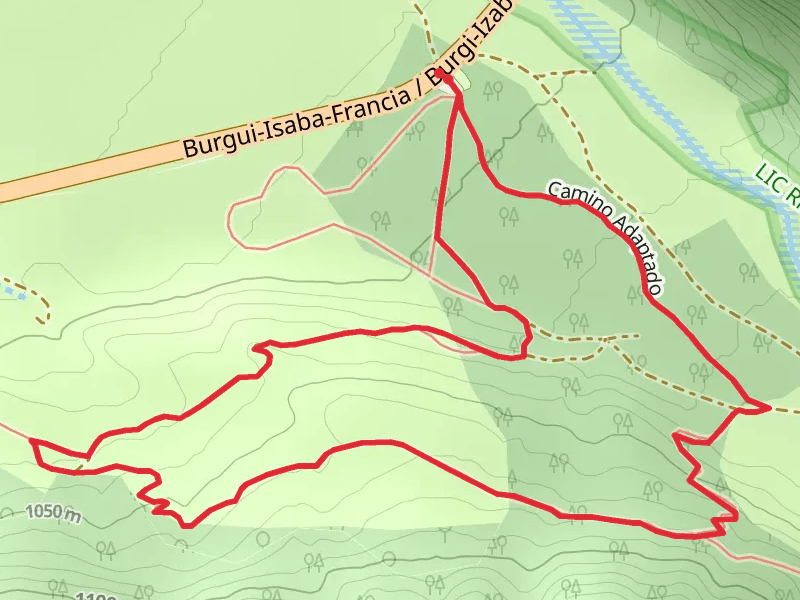Beech Forest-Dronda SL NA 81
