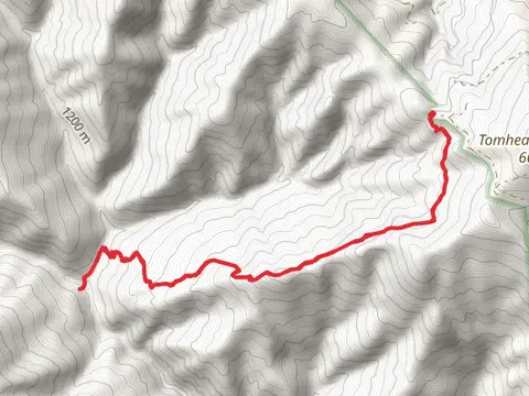 Syd Cabin Ridge Trail