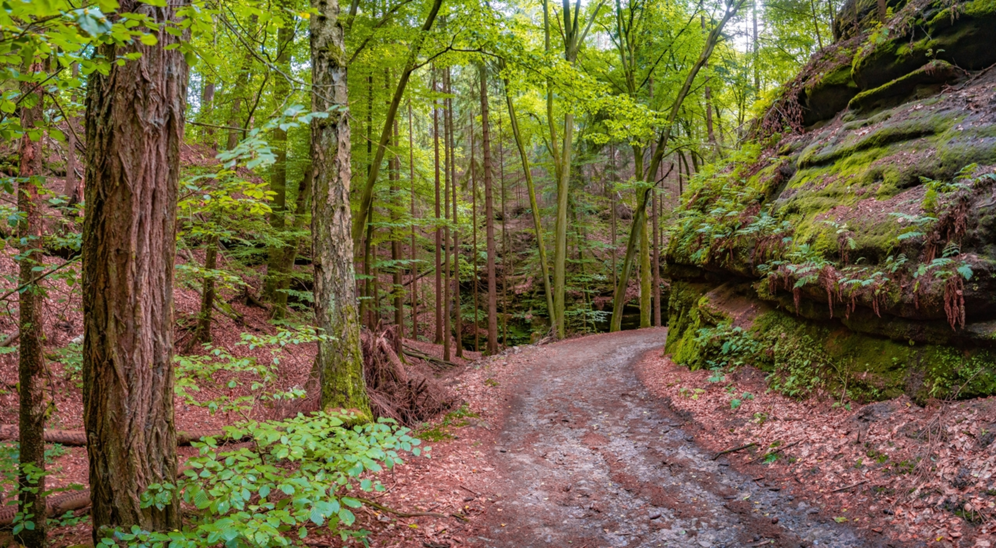 An image depicting the trail Zwergen Trail and its surrounding area.