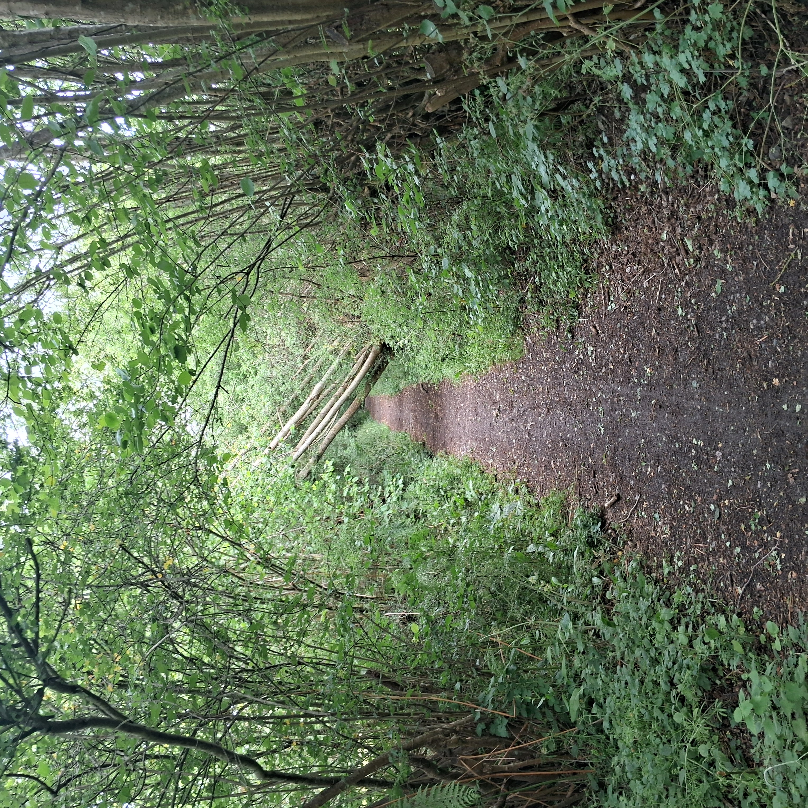 A map preview of the recording Hike on Kingswood East Loop Walk.