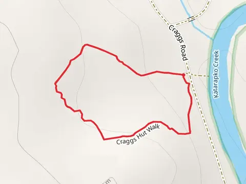 Cragg’s Hut Walk