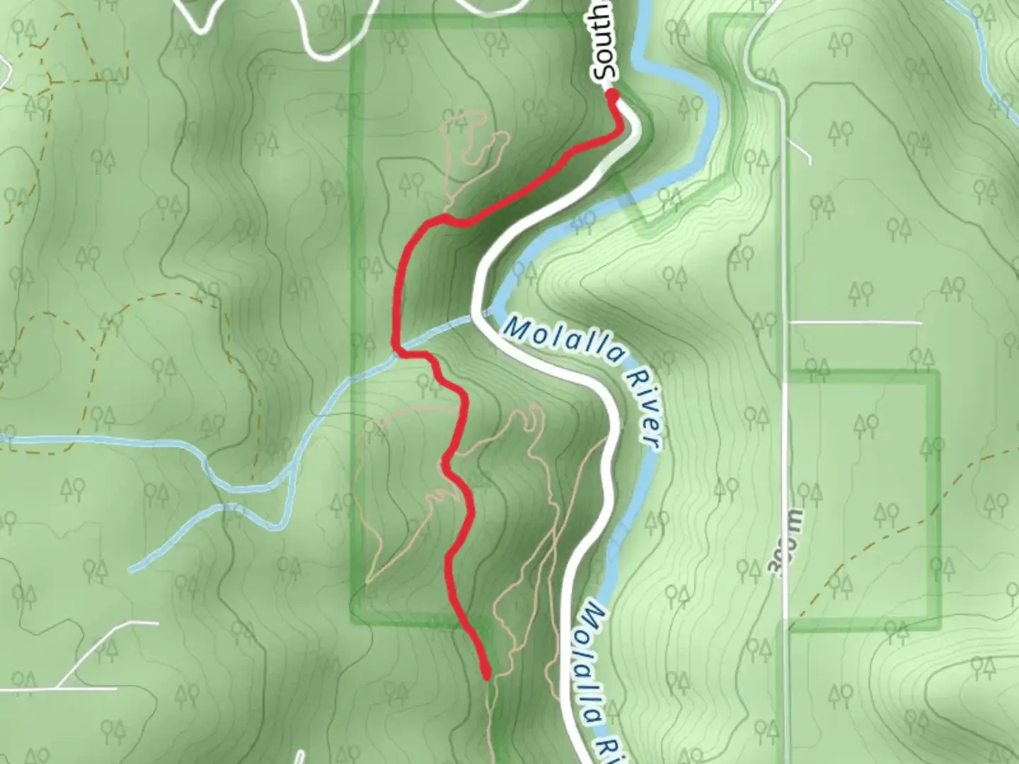 An image depicting the trail Amanda's Trail and its surrounding area.