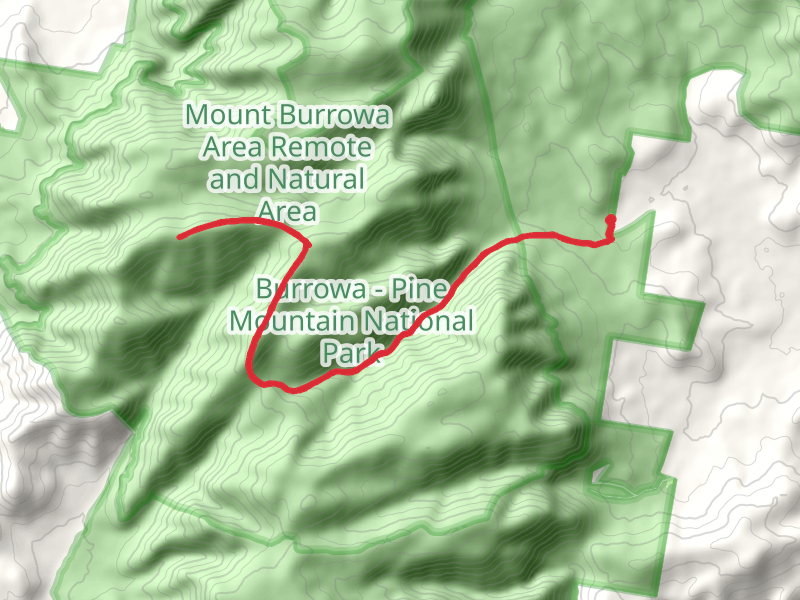 Mt Burrowa Trail