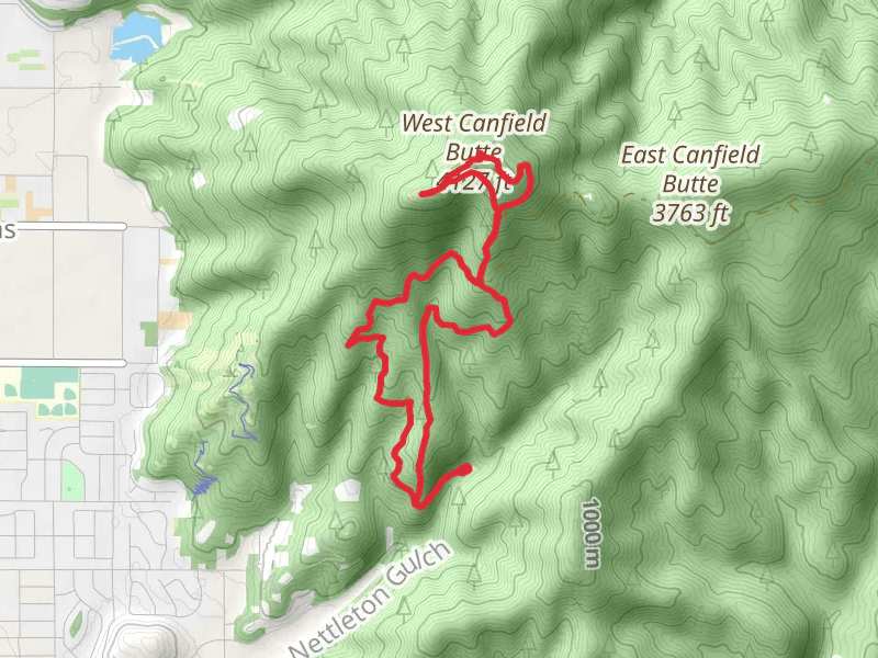 Trail 3 and Trail 5 Loop