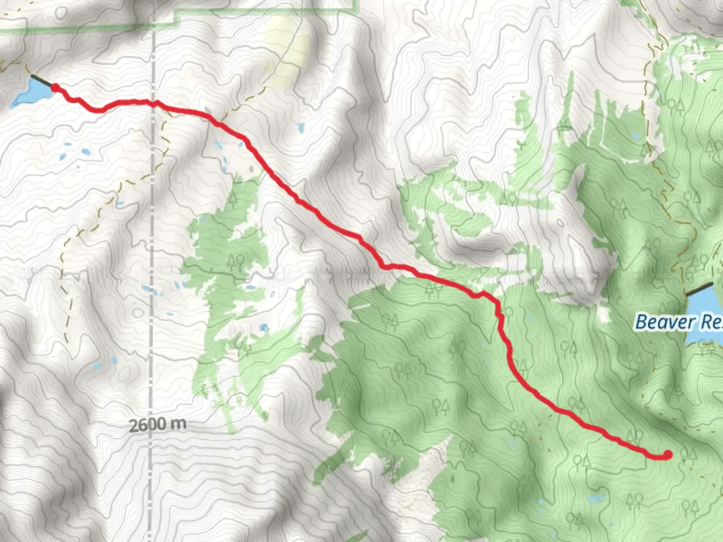 An image depicting the trail Lone Cabin and its surrounding area.