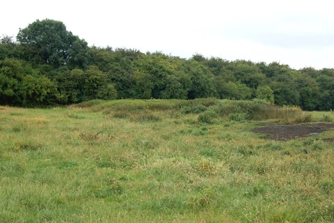 Weldon Loop