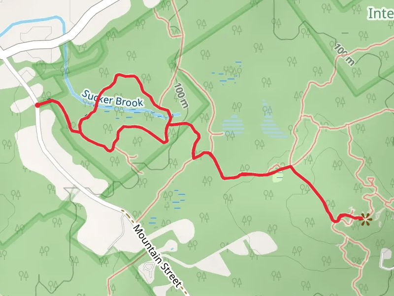 Rattlesnake Hill via Sucker Brook Trail