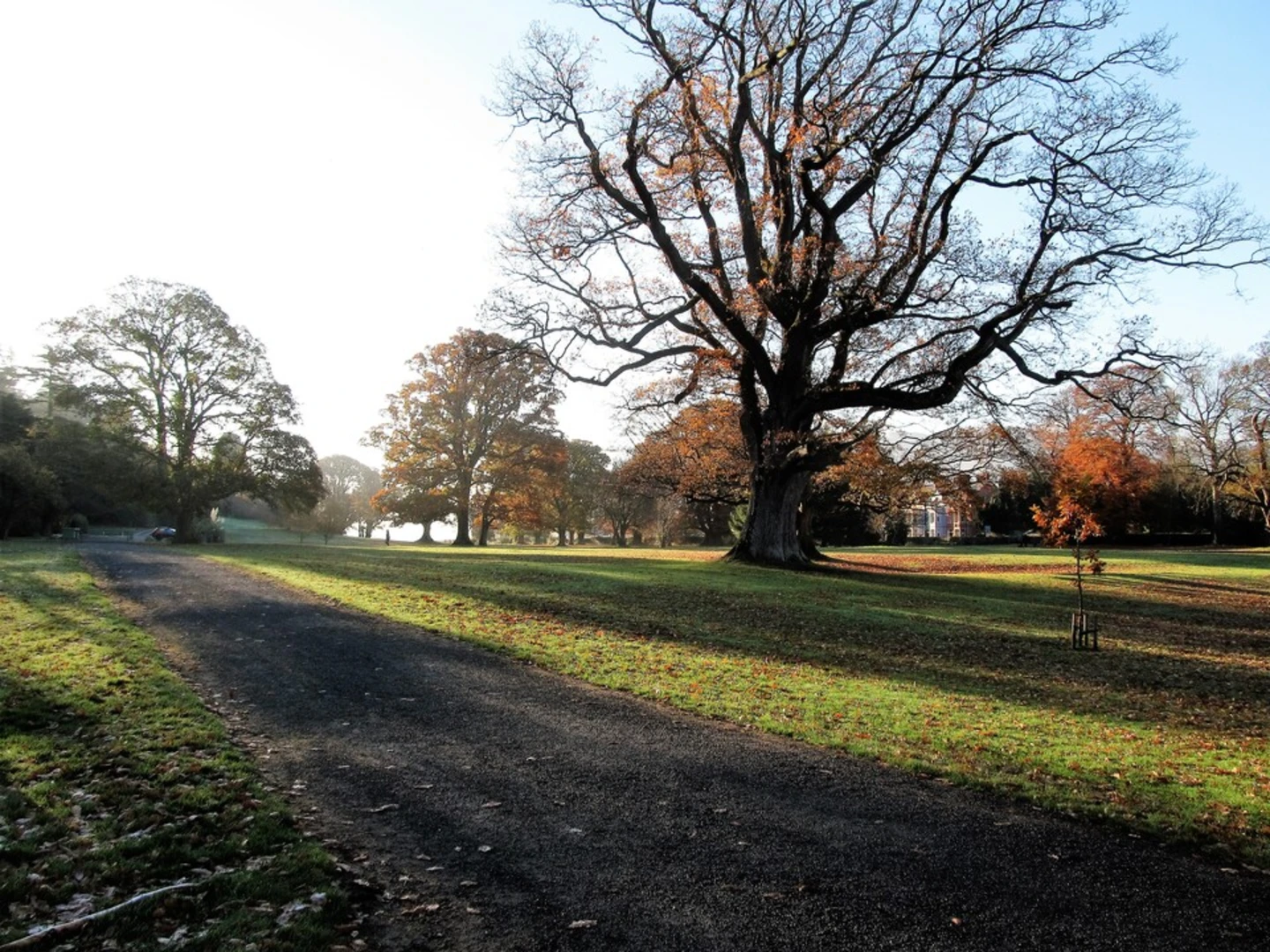 An image depicting the trail Fairy Glen - Circular Walk and its surrounding area.