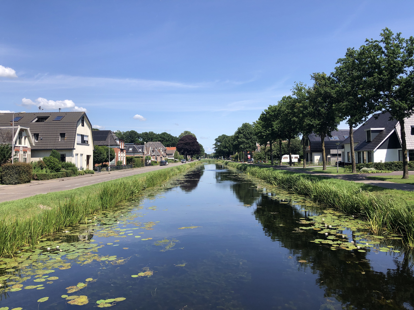 An image depicting the trail Noord Stegeren and Bijenberg Loop and its surrounding area.