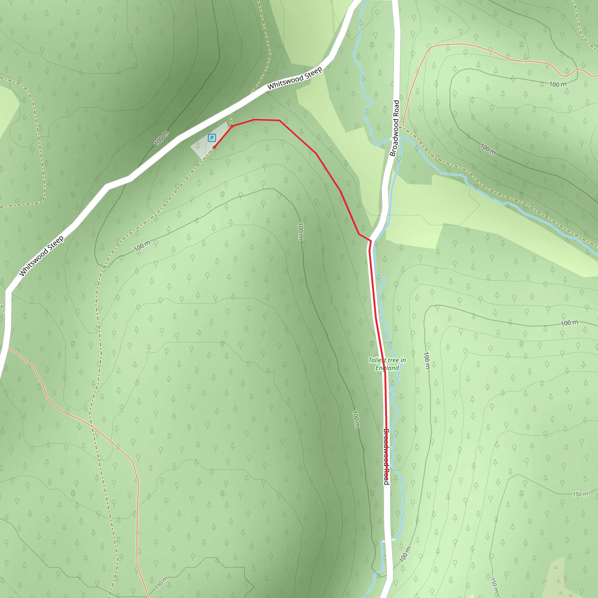 Tall Trees Trail - Douglas Fir mobile static map
