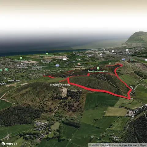 Ballycorus Lead Mine Loop Walk