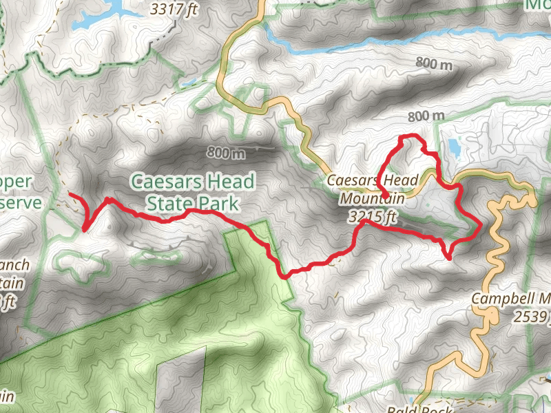 Naturaland Trust Trail from Caesars Head Mountain