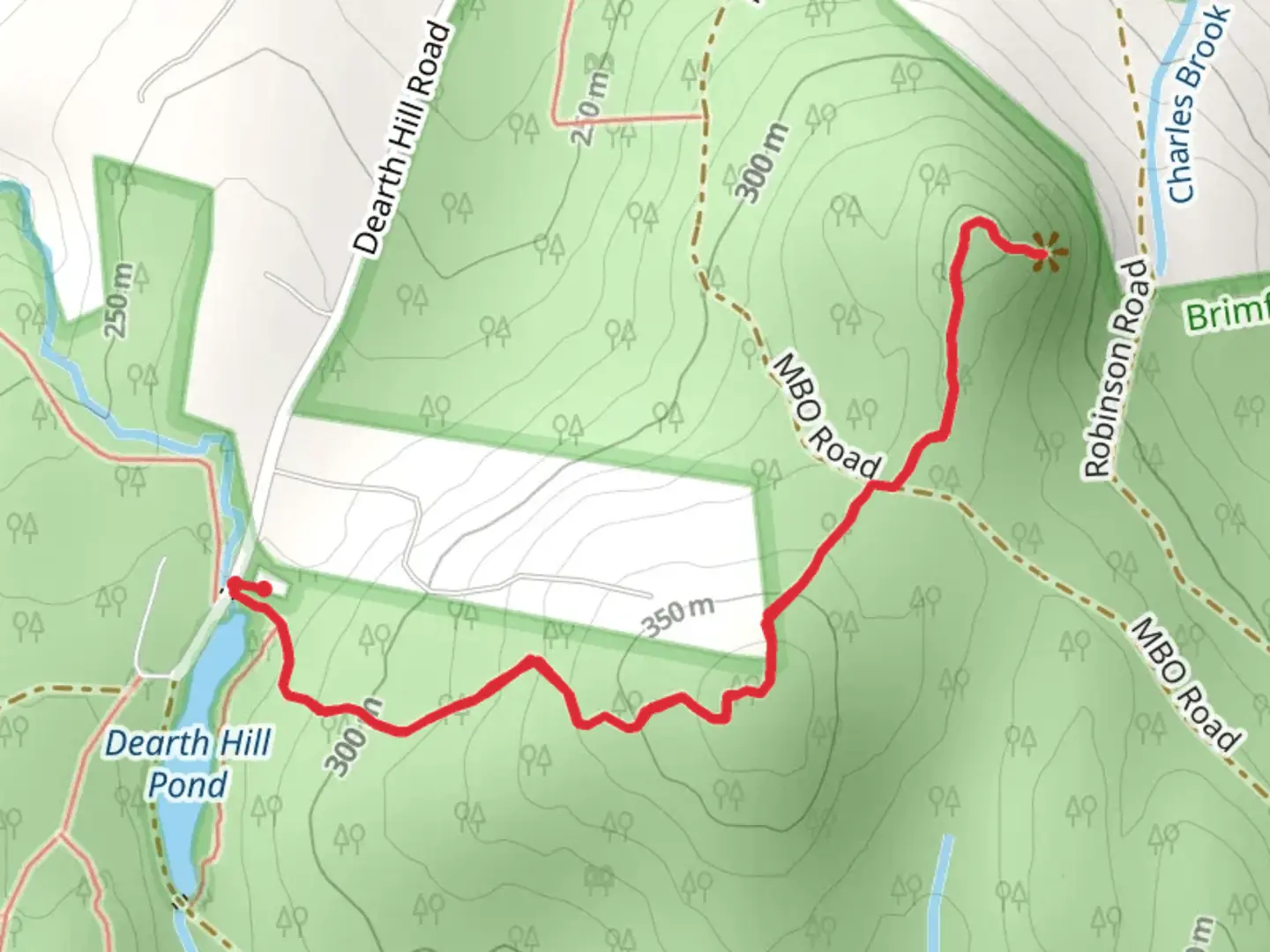An image depicting the trail Mt Waddaquaduck Trail and its surrounding area.
