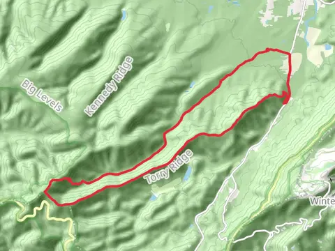 Mills Creek, Bald Mountain and Torry Ridge Loop Trail