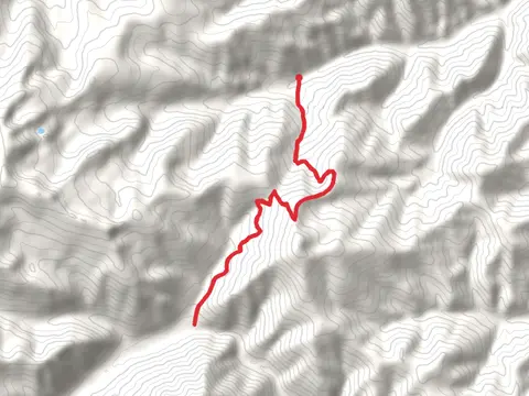 Saint Patrick Peak Trail
