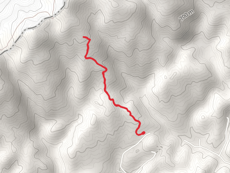 Bobs Gap Trail