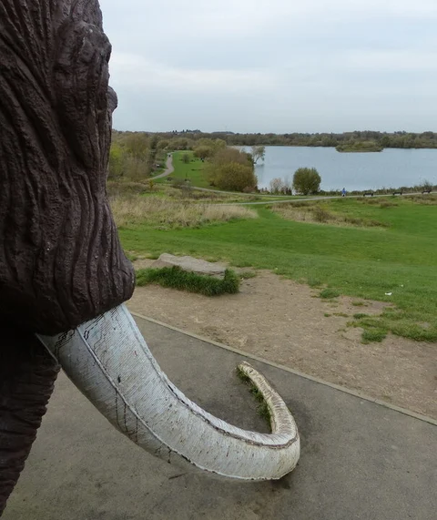 River Soar Walk