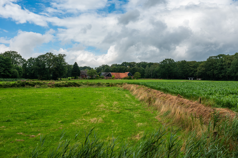 Moosbeekweg, Tiethofweg and Rossumermedenweg Loop