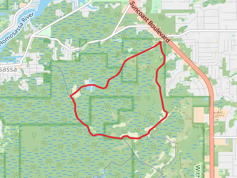 Hog Ponds Loop