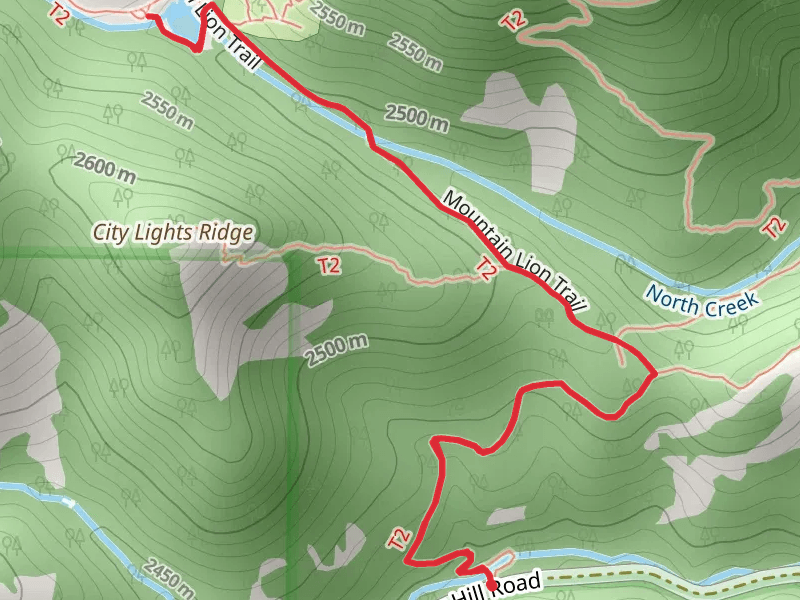 Mountain Lion Trail