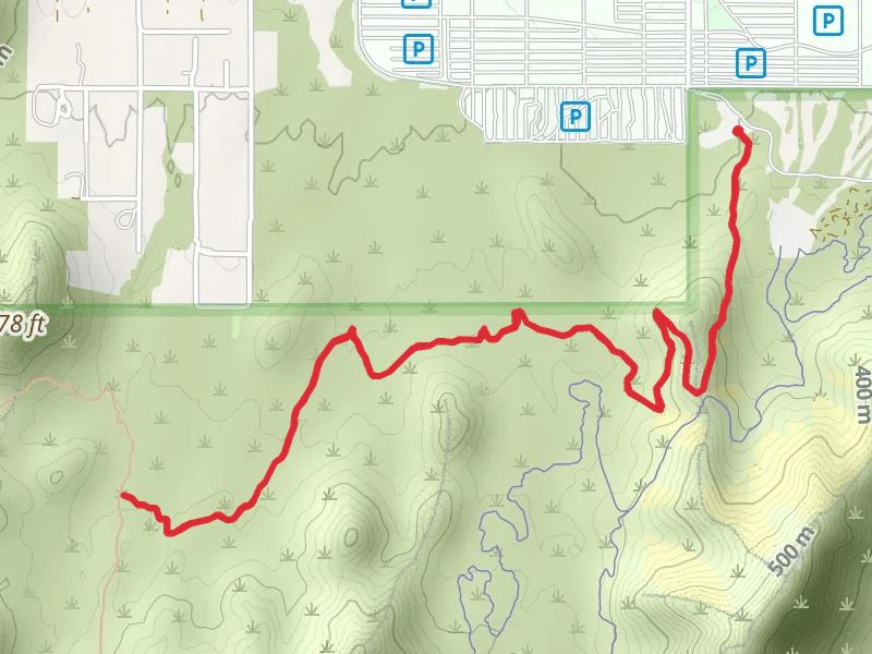 Desert Rose Trail
