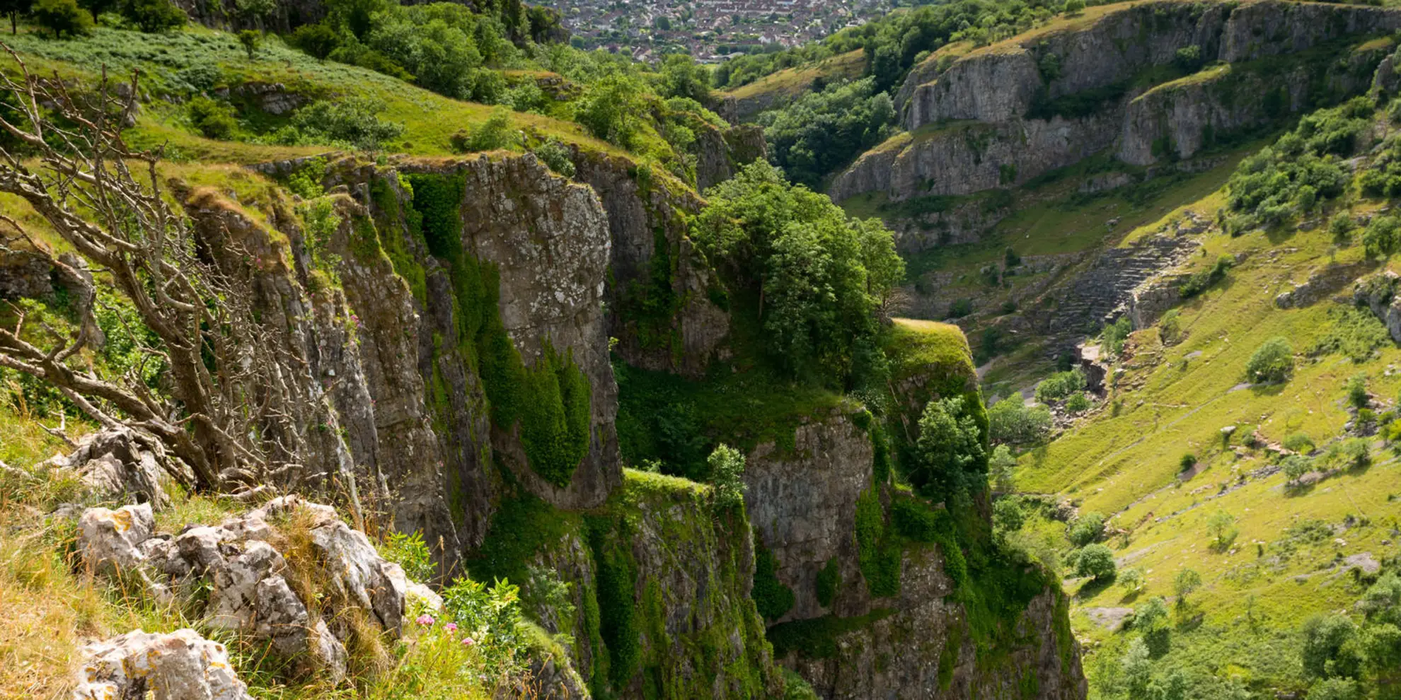 An image depicting the trail Cheddar Gorge Walk and its surrounding area.