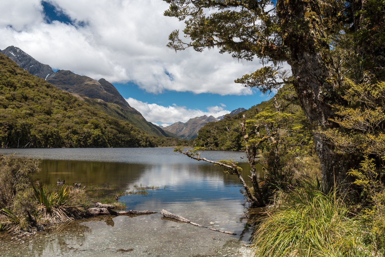 An image depicting the trail Routeburn Track - Lake Howden Track and its surrounding area.