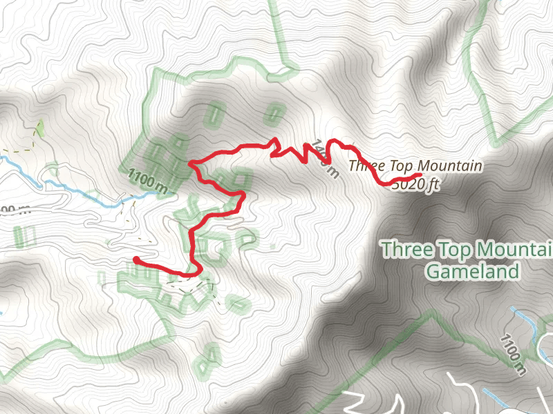 Three Top Mountain Trail