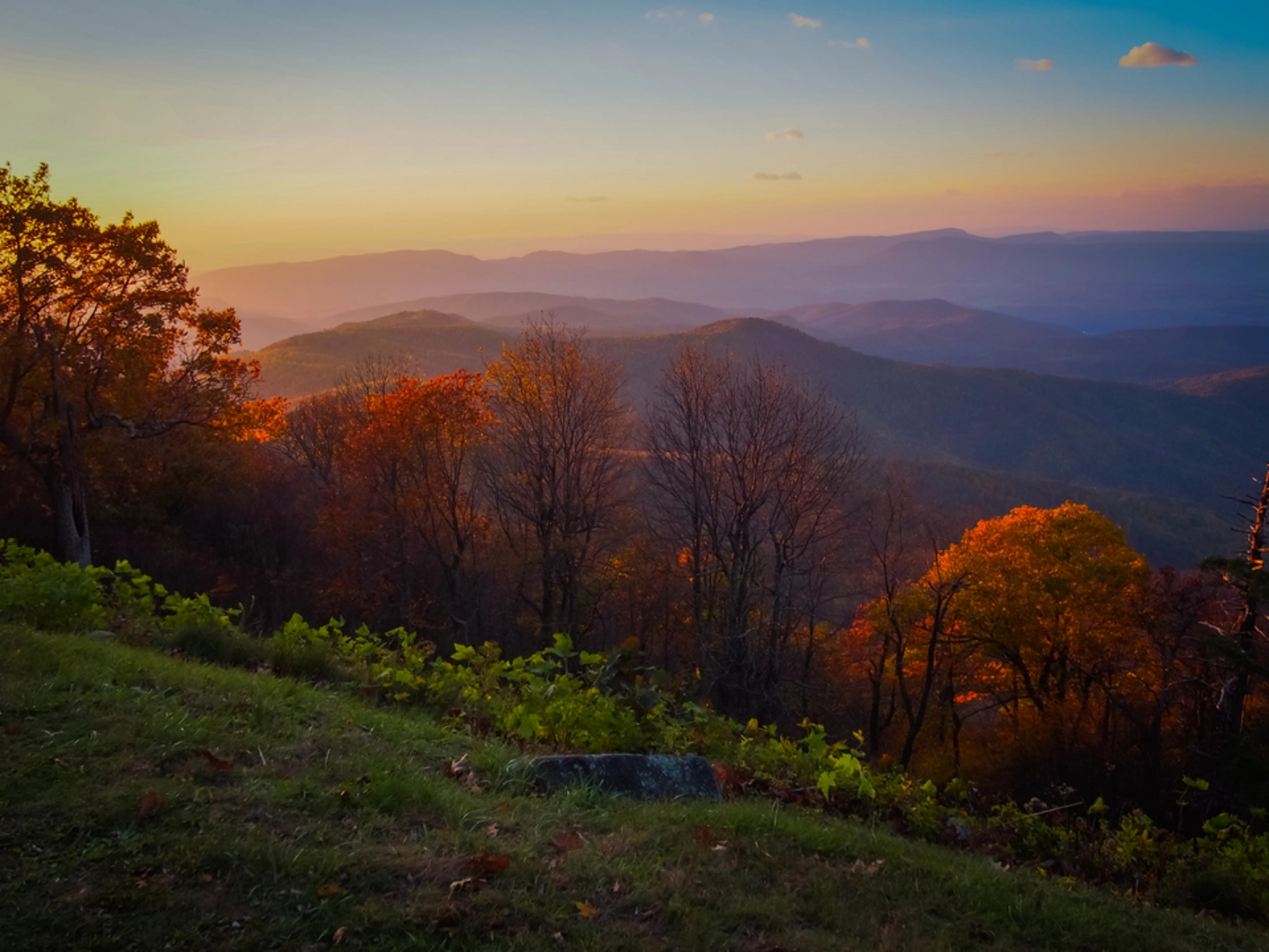 An image depicting the trail Sprouts Trail and its surrounding area.