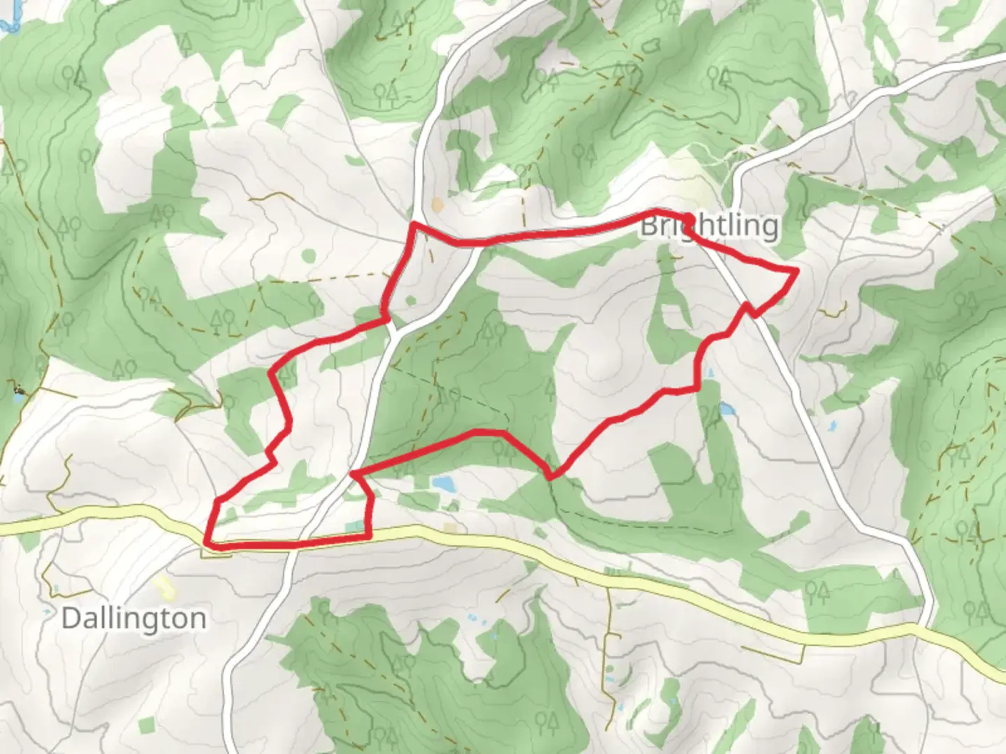 An image depicting the trail Mansbrook Wood Loop and its surrounding area.