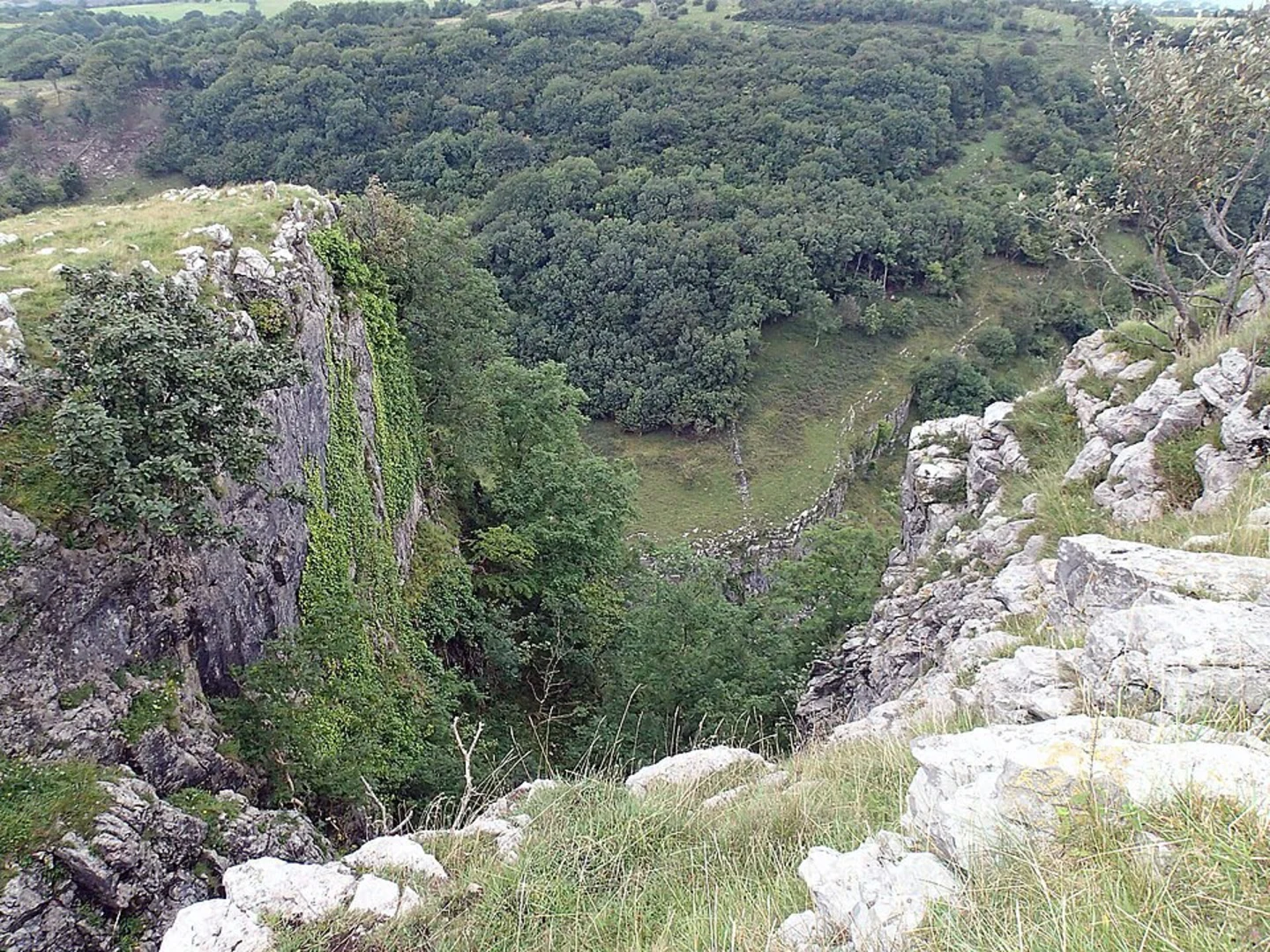 An image depicting the trail Black Rock and Horseshoe Bend Loop and its surrounding area.