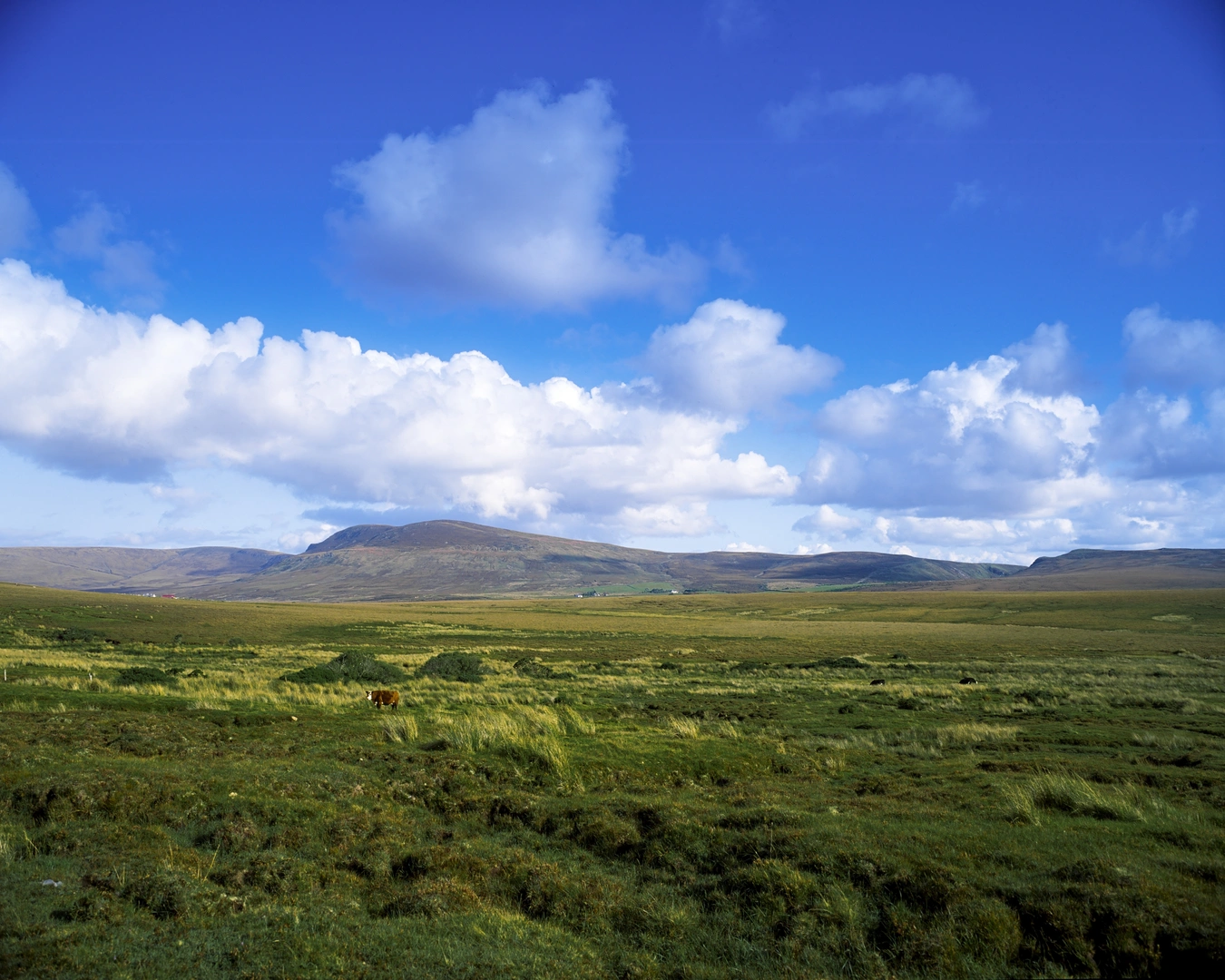 An image depicting the trail Clogher - Bog Loop and its surrounding area.