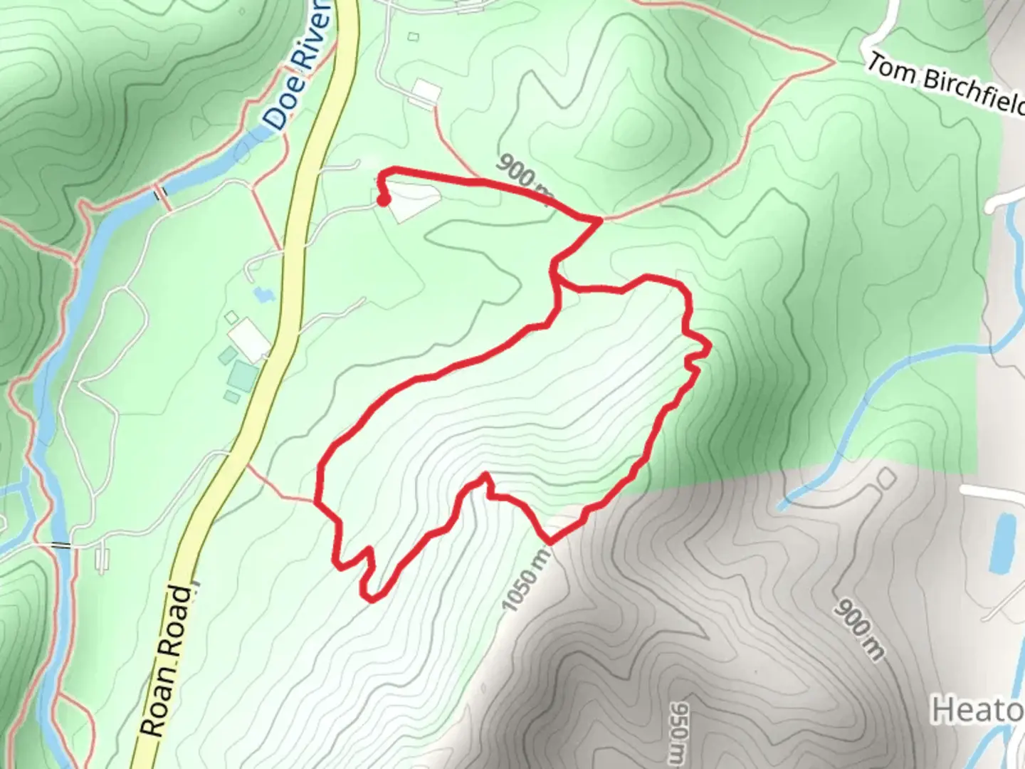 An image depicting the trail Forest Road Loop Trail from Roan Road and its surrounding area.