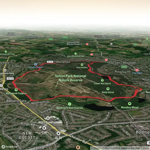 Sutton Park Big Loop