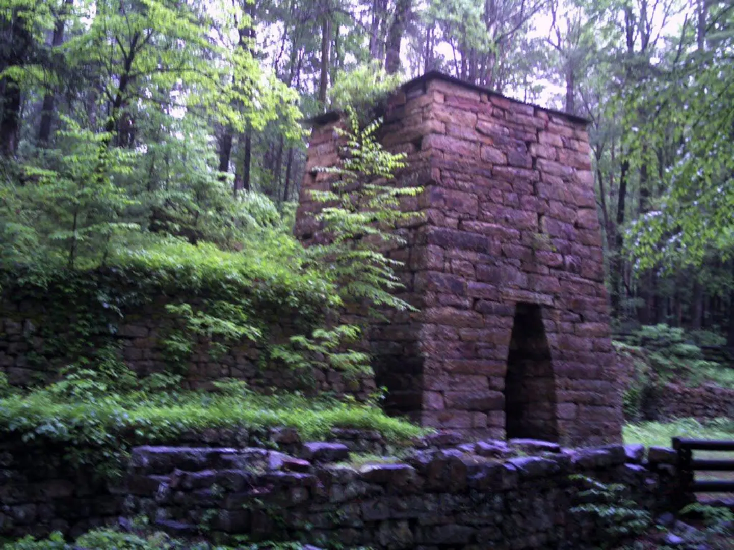 An image depicting the trail Roaring Run Loop and its surrounding area.