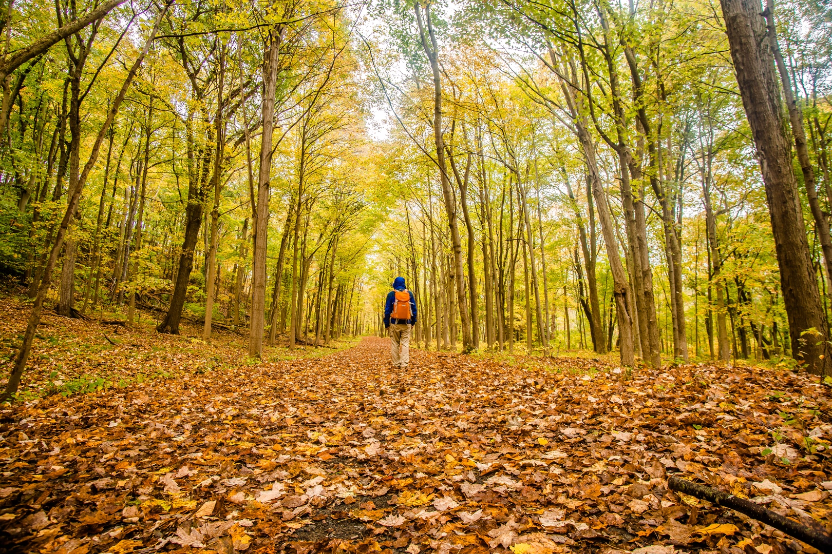 An image depicting the trail Quinnipiac Trail and its surrounding area.