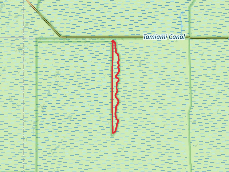 Shark Valley Loop