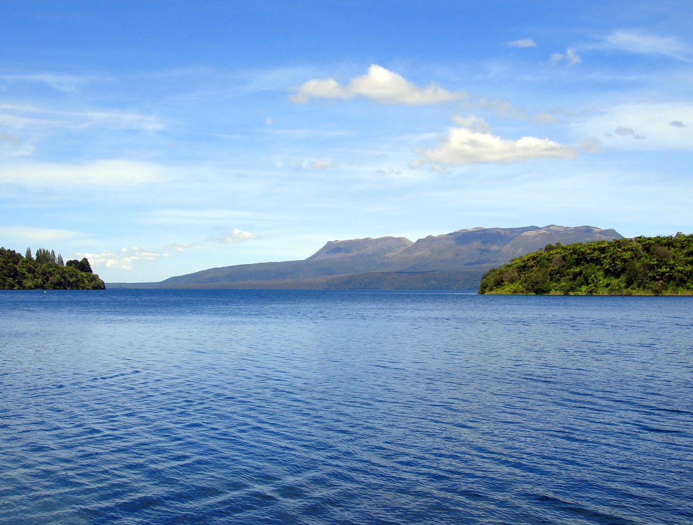 An image depicting the trail Lake Tikitapu Trail and its surrounding area.