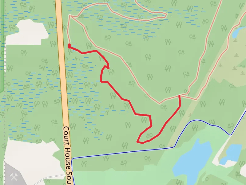 Blue Trail Out and Back