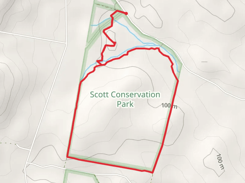 Orchid Walk - Scott Conservation Park
