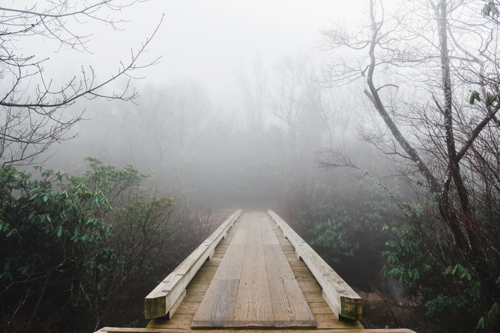 An image depicting the trail Graveyard Fields Trail and its surrounding area.