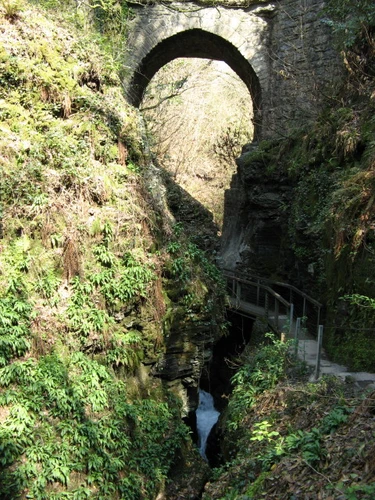 Wheal Jewell Reservoir, Ravens Tor and White Lady Waterfall Loop