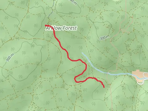 Bull Ant Track